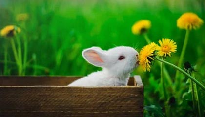 爱游戏官网-蒙特雷攻防火力全开，防守迎挑战