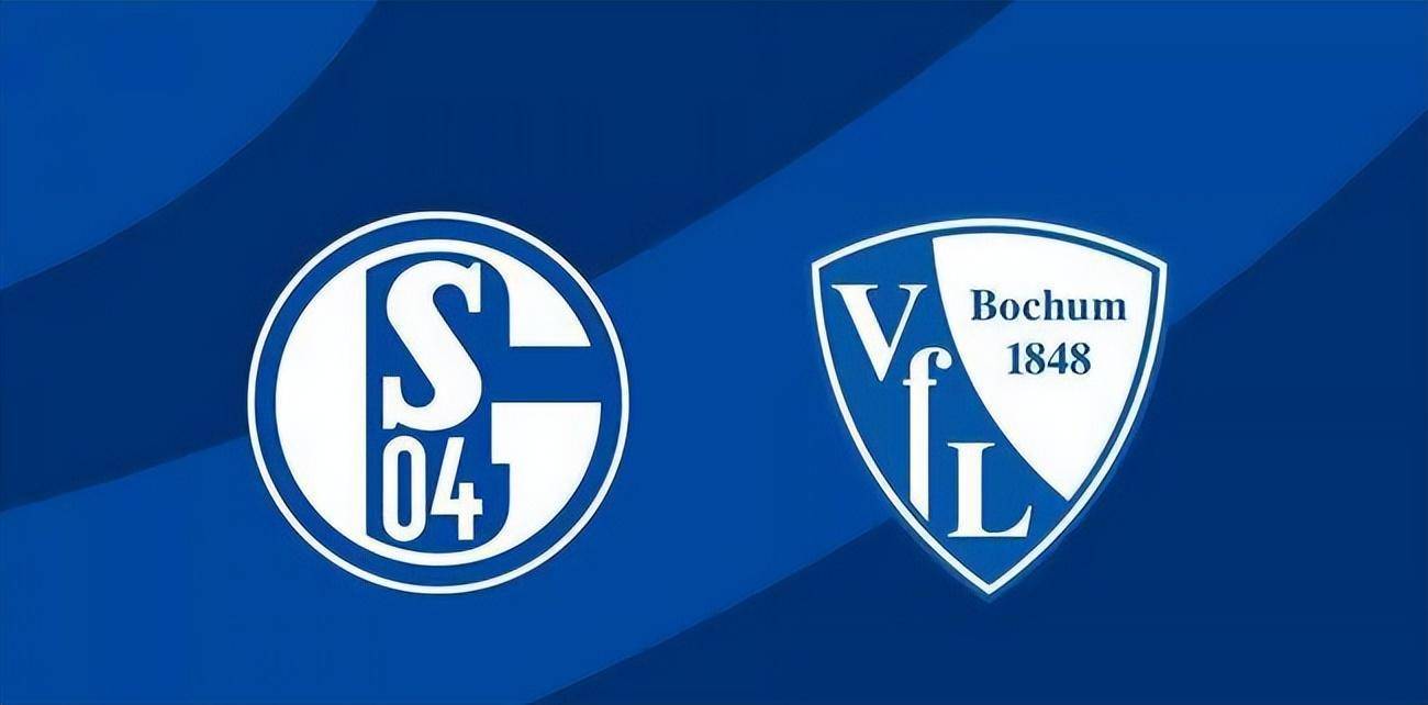 关于沙尔克客场告捷，德甲保级雄心重新点燃的信息