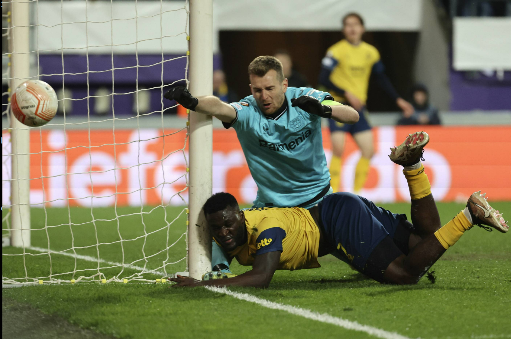 包含受伤球员康复进度公布，球队再现希望的词条