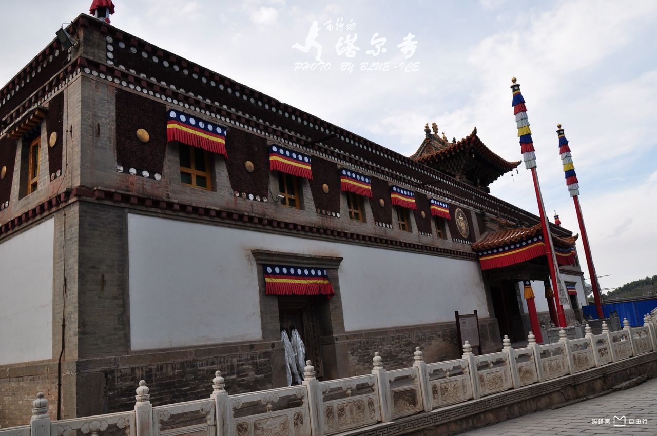 青海塔尔富迎来佳运,上演奇迹连连 青海塔尔富迎来佳运,上演奇迹连连