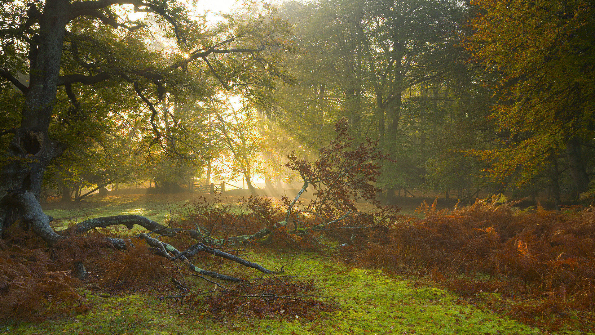 爱游戏官方-骑士淘汰赛过关火箭，切特一人改变比赛定义