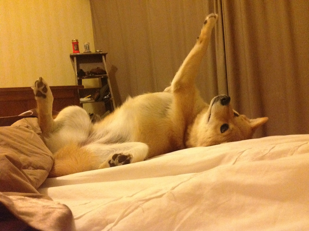 假面王朝,当欧冠决赛舞台闯入一支国家队