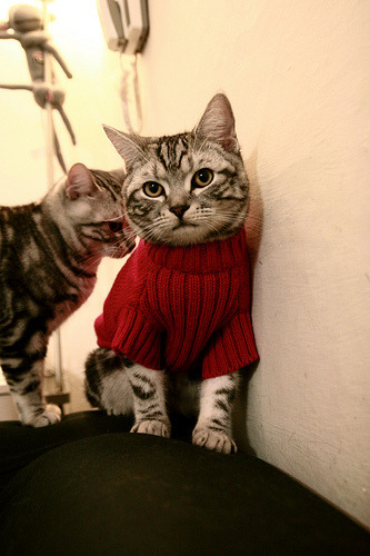 意甲焦点战的背后,荷兰旋风何以全面压制挪威