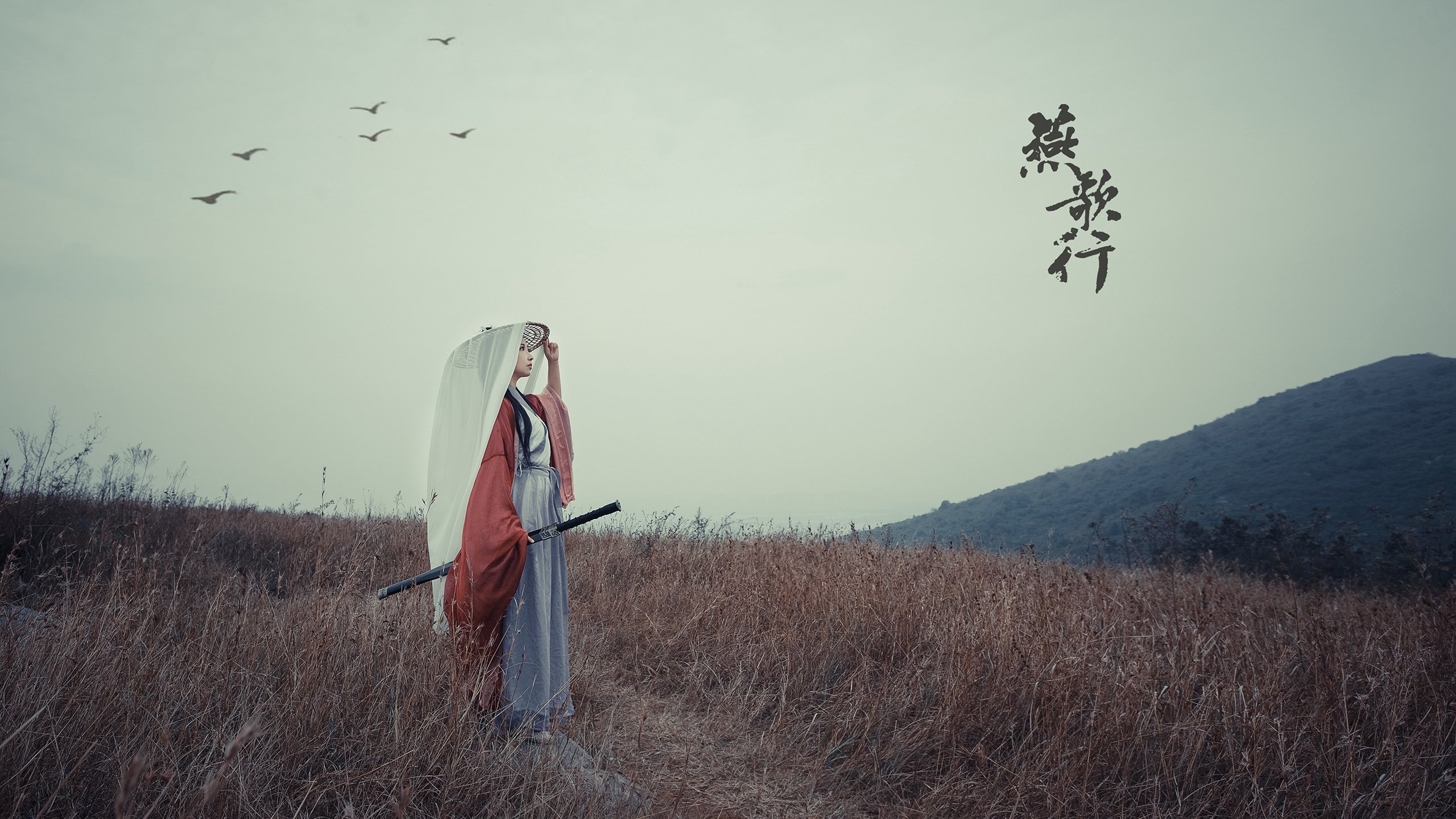 爱游戏下载-猛龙主场力克灰熊，文班亚马全能数据闪耀全场