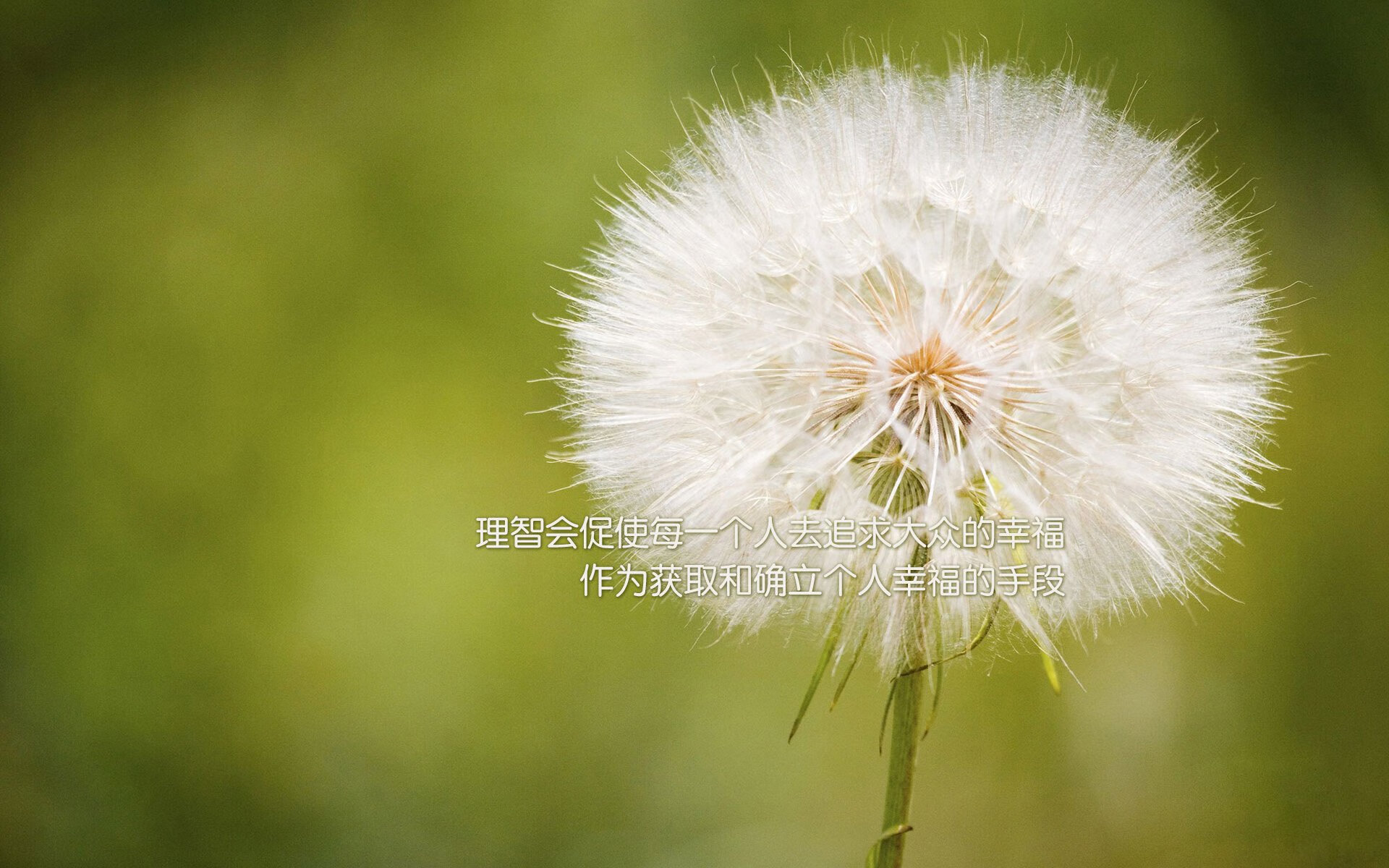 英超争冠如弈棋，上海制霸似魔术，跨越东西方的竞技美学