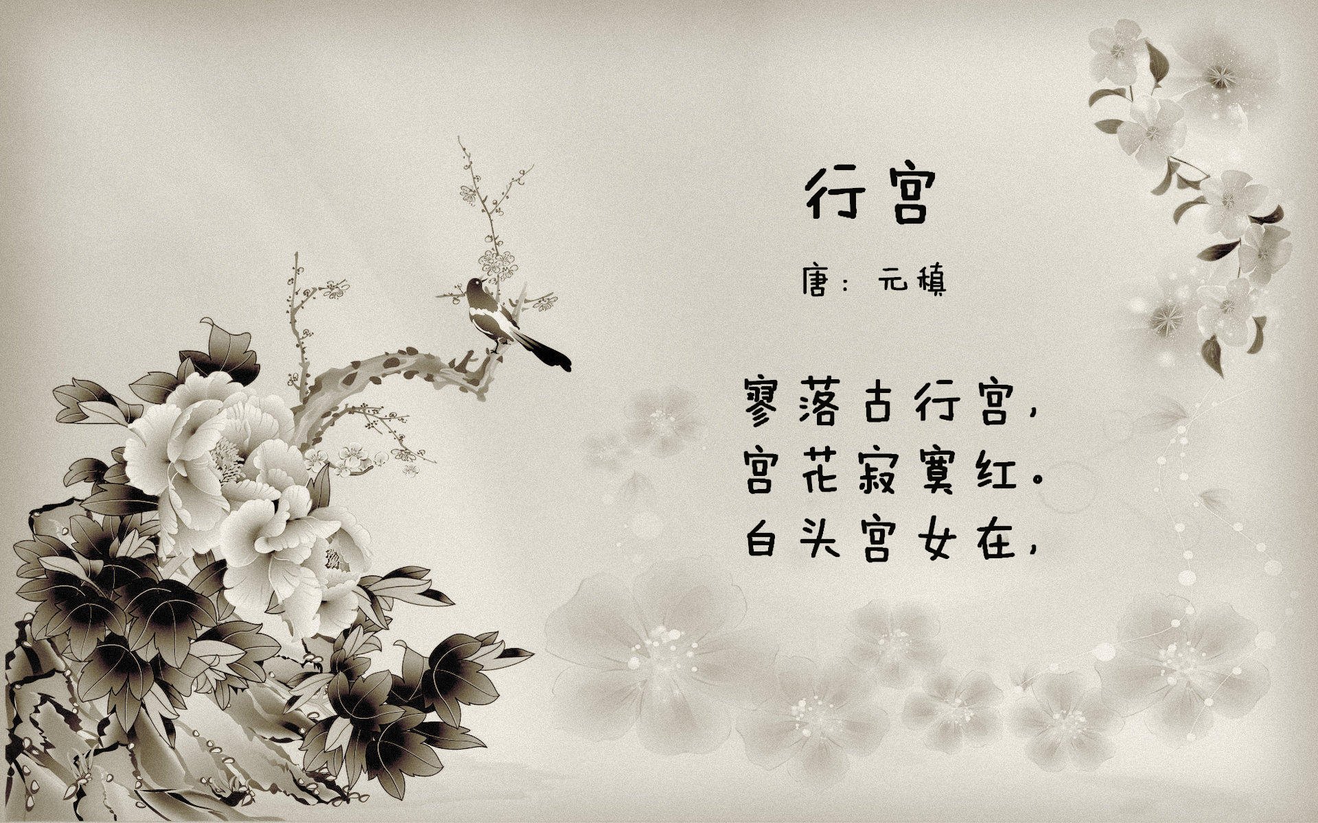 速度与激情，F1新战幕启，广东铁血终结太阳神话